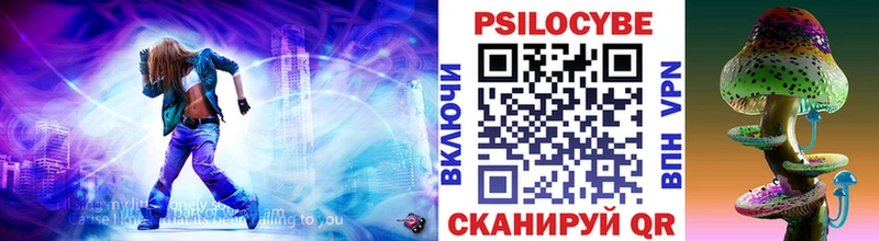 Купить  Карачев  Галлюциногенные грибы MAGIC MUSHROOMS 