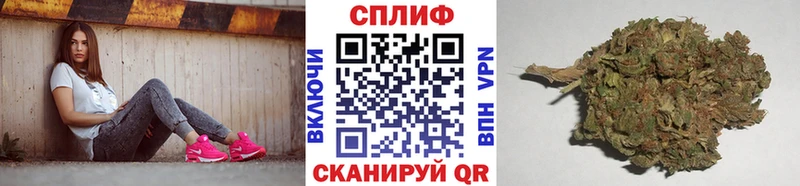 Купить  Карачев  МАРИХУАНА ГИДРОПОН 